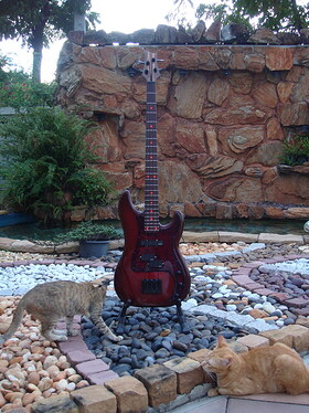 Bass with LED markers