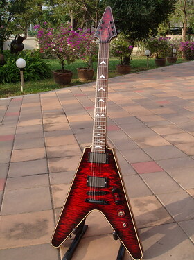 Flying V (look at the tiger face between the pickups)